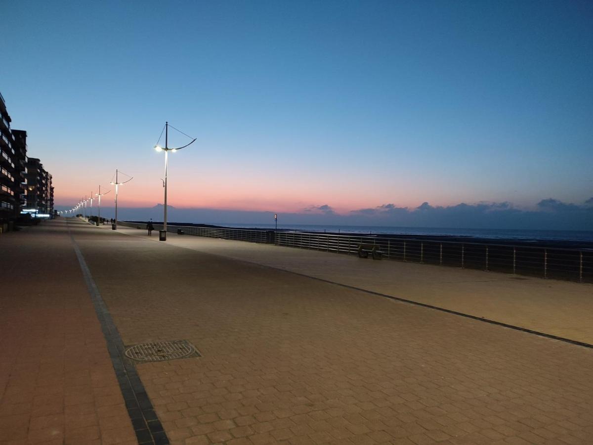 Zilverzand Aan Zee - Frontaal Zeezicht コクセッド エクステリア 写真